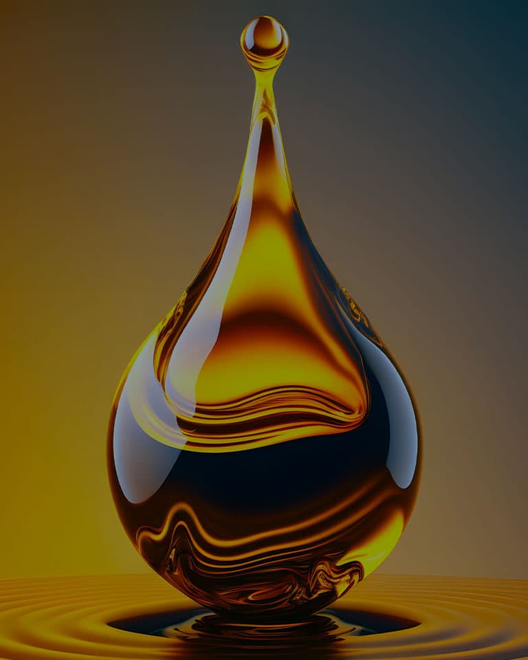 Bio and Circular Polymers