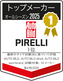 Top Manufacturer 2025