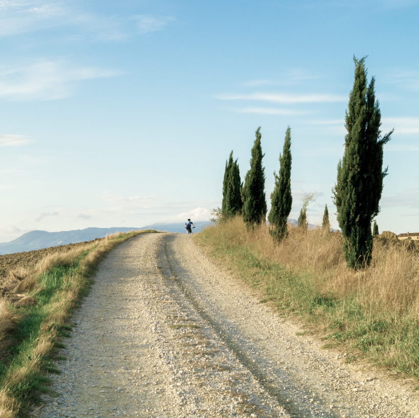 CINTURATO™ | Renforcé par définition