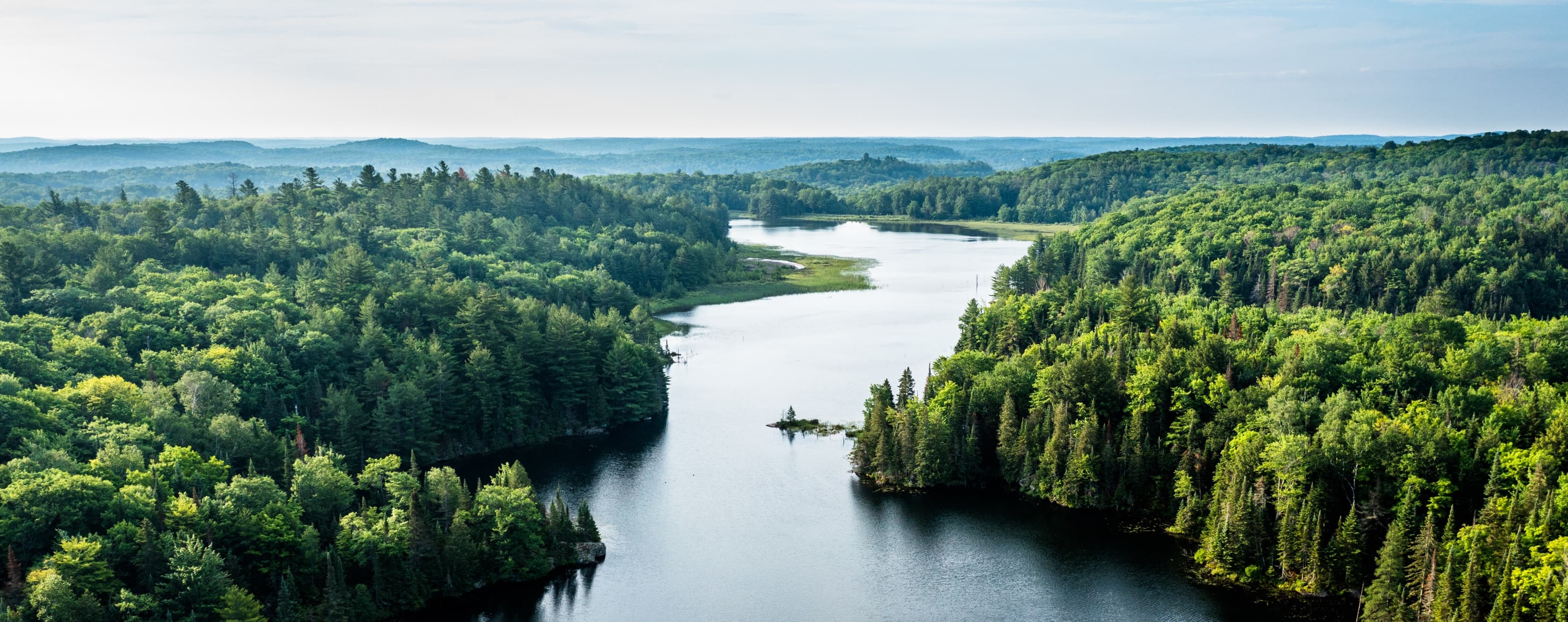 Moore banner background