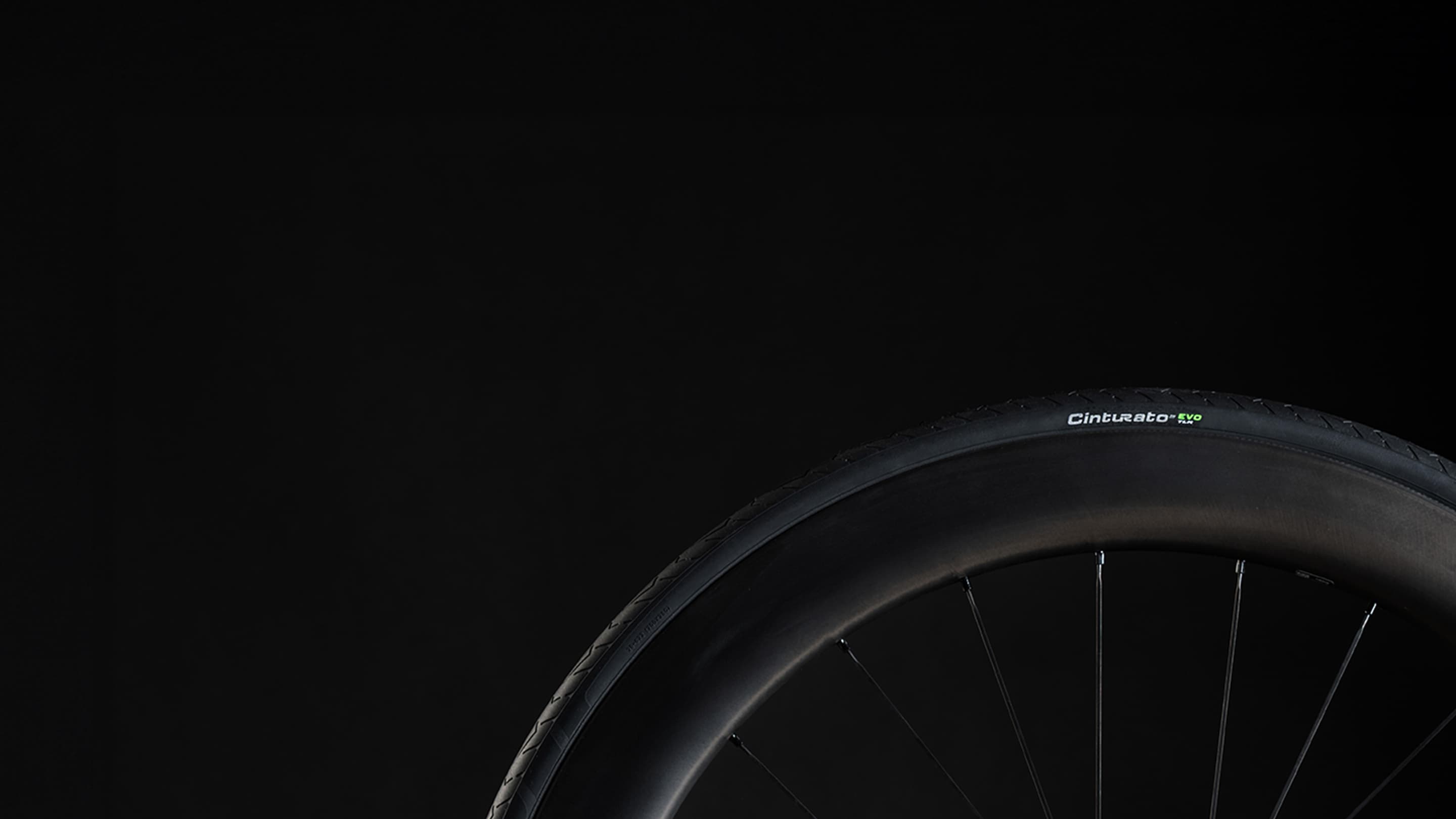 visual cinturato evo